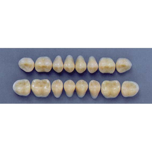 ULTRADENT POST. 29M/67 UPPER (1x8 CARD) Card