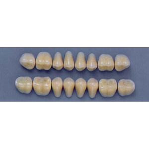 ULTRADENT POST. 29S/A2 LOWER (1x8 CARD) Card