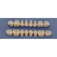 ULTRADENT POST. 29S/A3 LOWER (1x8 CARD) Card