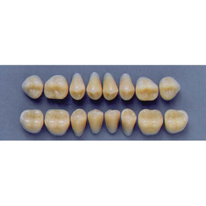 ULTRADENT POST 30L/59 LOWER (1x8 CARD) Card