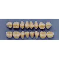 ULTRADENT POST 30L/66 LOWER (1x8 CARD) Card