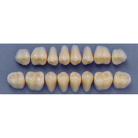 ULTRADENT POST. 31L/81 LOWER (1x8 CARD) Card