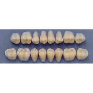 ULTRADENT POST. 31L/A3 UPPER (1x8 CARD) Card