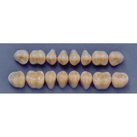 ULTRADENT POST. 31M/62 LOWER (1x8 CARD) Card