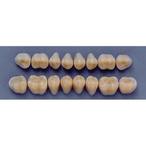 ULTRADENT POST. 31M/67 UPPER (1x8 CARD) Card