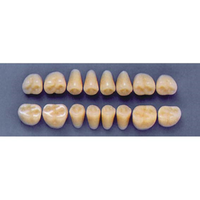 ULTRADENT POST. 31Z/81 UPPER (1x8 CARD) Card