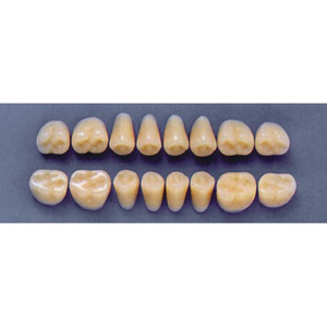 ULTRADENT POST. 31Z/A3 UPPER (1x8 CARD) Card