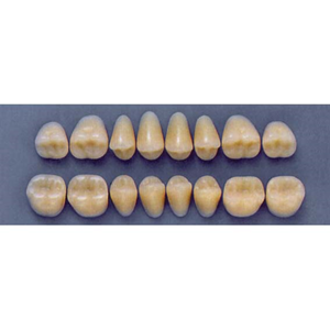ULTRADENT POST. 32F/66 LOWER (1x8 CARD) Card