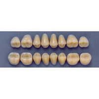 ULTRADENT POST. 32F/66 UPPER (1x8 CARD) Card