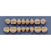 ULTRADENT POST 32M/65 UPPER (1x8 CARD) Card