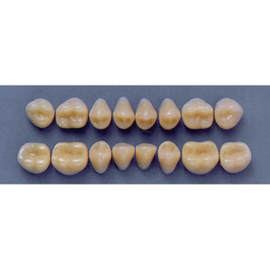 ULTRADENT POST 32M/66 UPPER (1x8 CARD) Card