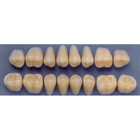 ULTRADENT POST. 33L/66 LOWER (1x8 CARD) Card