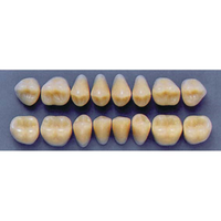 ULTRADENT POST 34L/A3 UPPER (1x8 CARD) Card