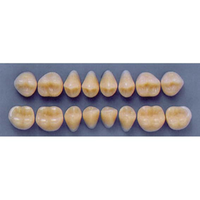 ULTRADENT POST 34M/A2 LOWER (1x8 CARD) Card