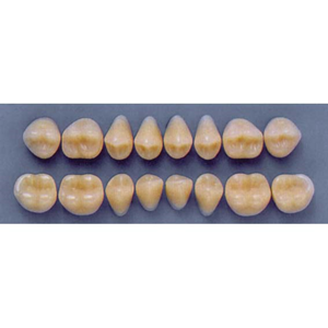 ULTRADENT POST 34M/A2 LOWER (1x8 CARD) Card