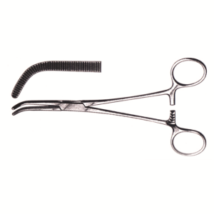 Mixter O'Shaugnessy Forceps, 19cm, Each Each
